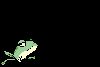 Matrícula=www_oloco_com_br16.gif
Tamanho=8KB
Dimensão=261x176
Data Envio=11 Set, 2008 www_oloco_com_br16.gif