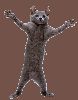 Matrícula=www_oloco_com_br181.gif
Tamanho=116KB
Dimensão=320x407
Data Envio=11 Set, 2008 www_oloco_com_br181.gif