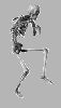 Matrícula=www_oloco_com_br82.gif
Tamanho=17KB
Dimensão=60x104
Data Envio=11 Set, 2008 www_oloco_com_br82.gif