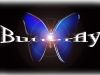 Matrícula=BXK20468_butterfly800.jpg
Tamanho=87KB
Dimensão=1280x960
Data Envio=06 Jul, 2009 BXK20468_butterfly800.jpg