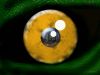 Matrícula=BXK20468_eye-monster800.jpg
Tamanho=56KB
Dimensão=1024x768
Data Envio=06 Jul, 2009 BXK20468_eye-monster800.jpg
