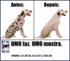 Matrícula=omo_tira_todas_as_manchas.jpg
Tamanho=19KB
Dimensão=358x312
Data Envio=30 Ago, 2008 omo_tira_todas_as_manchas.jpg