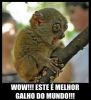 Matrícula=OgAAAF7HG4aOEshcEeKuGq6IdieefG9aQMZ8HJTinm5_T8n-5J2bhuEzcdYgtPOJf3JfeVIfQFltdOi30lpjo9CE18oAm1T1UP_zCvZHbi1dpsCAUhEidL6Un3GF.jpg
Tamanho=27KB
Dimensão=365x400
Data Envio=07 Set, 2010 OgAAAF7HG4aOEshcEeKuGq6IdieefG9aQMZ8HJTinm5_T8n-5J2bhuEzcdYgtPOJf3JfeVIfQFltdOi30lpjo9CE18oAm1T1UP_zCvZHbi1dpsCAUhEidL6Un3GF.jpg