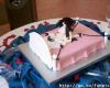 Matrícula=cake3.jpg
Tamanho=18KB
Dimensão=360x288
Data Envio=13 Jul, 2008 cake3.jpg