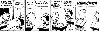 Matrícula=tirinha_do_calvin_2.gif
Tamanho=49KB
Dimensão=603x196
Data Envio=13 Jul, 2008 tirinha_do_calvin_2.gif