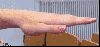 Matrícula=Backward-hand-reversed-fingers.gif
Tamanho=497KB
Dimensão=450x214
Data Envio=03 Jul, 2012 Backward-hand-reversed-fingers.gif