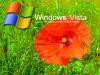Matrícula=wallp025.jpg
Tamanho=196KB
Dimensão=1024x768
Data Envio=27 Jan, 2008 wallp025.jpg