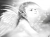 MatrÃcula=1107anjo.jpg
Tamanho=64KB
Dimensão=1024x768
Data Envio=21 Jan, 2008 1107anjo.jpg